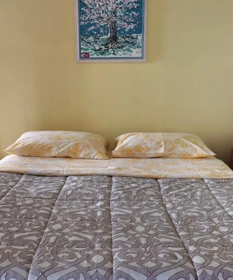 Maison Patricia Menton Appartemets Appartement